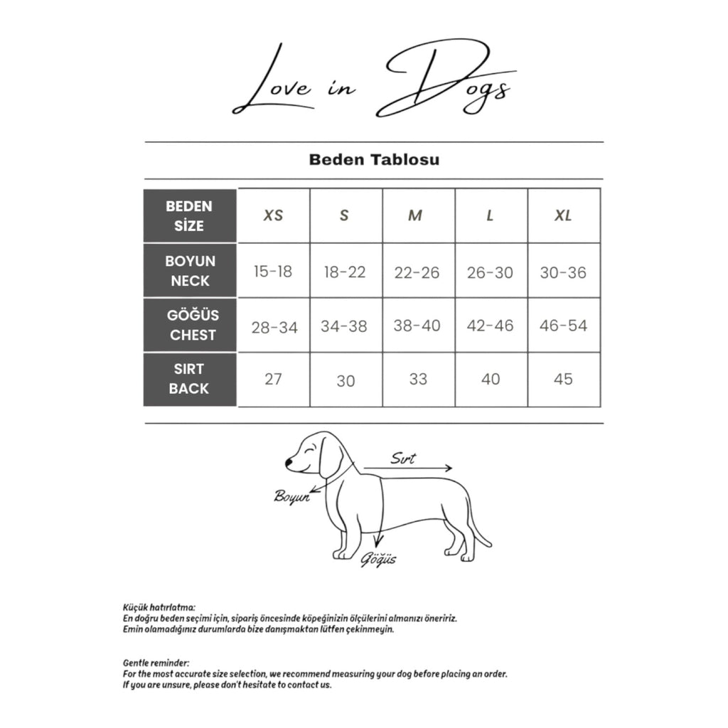 Köpeklerde Beden Ölçüsü Nasıl Alınır? Doğru Kıyafet İçin Pratik Rehber