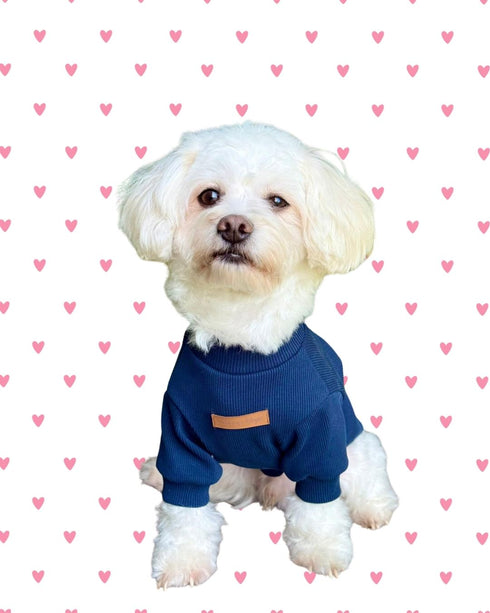 Essential Tee | Navy Köpek T-shirt