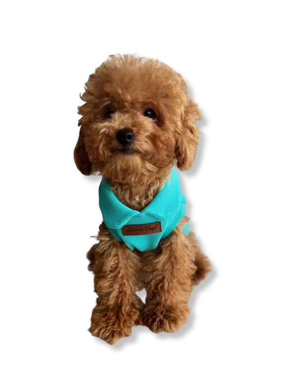 Essential Tee | Turkuaz Bebe Yaka Köpek Tişörtü