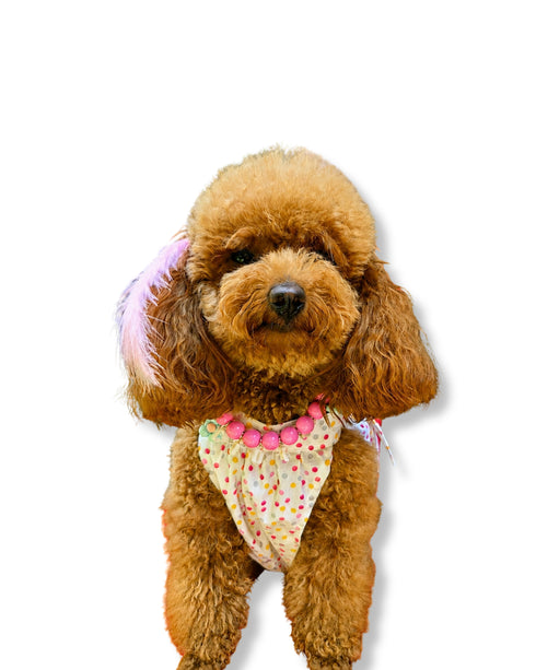 Sprinkle | Köpek Bluzu