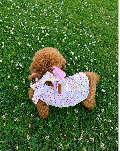 Sprinkle | Köpek Bluzu