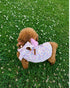 Sprinkle | Köpek Bluzu