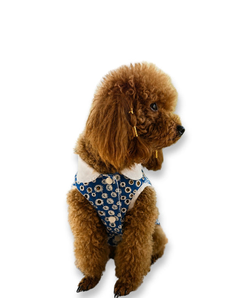 Mila Shirt | Köpek Gömleği