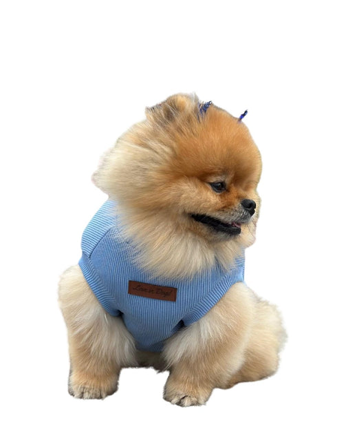 Essential Tee | Powder Blue Kolsuz Köpek T-shirt