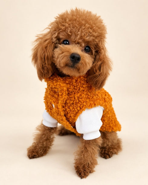 Teddy Mood | Köpek Yeleği