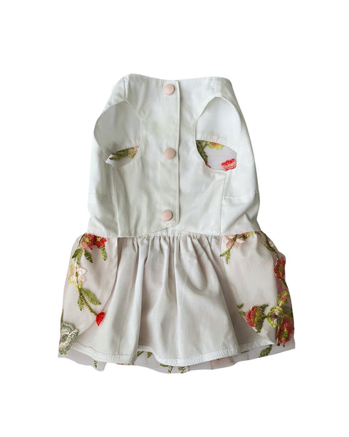 Sheer Dream Dress | Köpek Elbisesi