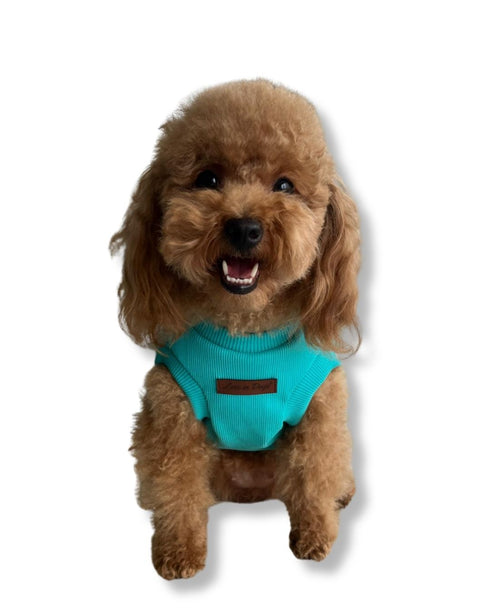 Essential Tee | Turkuaz Sıfır Yaka Köpek Tişörtü