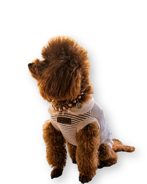 Bianca Glow | Köpek T-shirt
