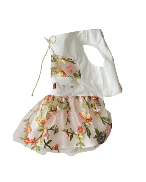 Sheer Dream Dress | Köpek Elbisesi