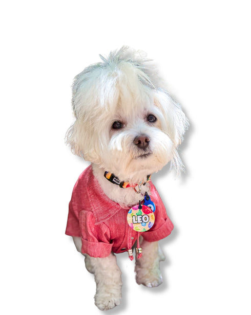 Blush Linen Shirt – Classic | Köpek Gömleği