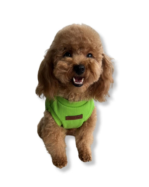 Essential Tee | Lime Sıfır Yaka Köpek Tişörtü