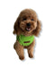 Essential Tee | Lime Sıfır Yaka Köpek Tişörtü