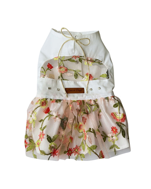 Sheer Dream Dress | Köpek Elbisesi