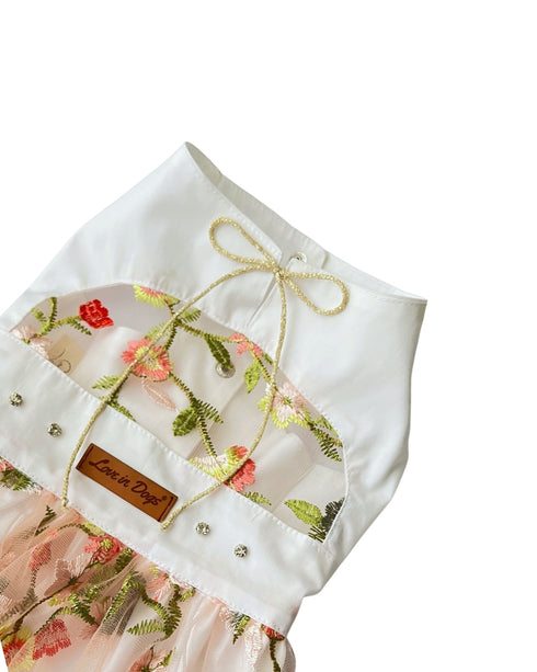 Sheer Dream Dress | Köpek Elbisesi