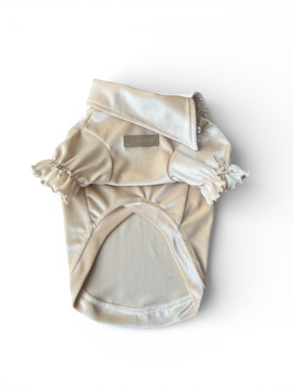 Love in Dogs Kadife köpek kıyafeti