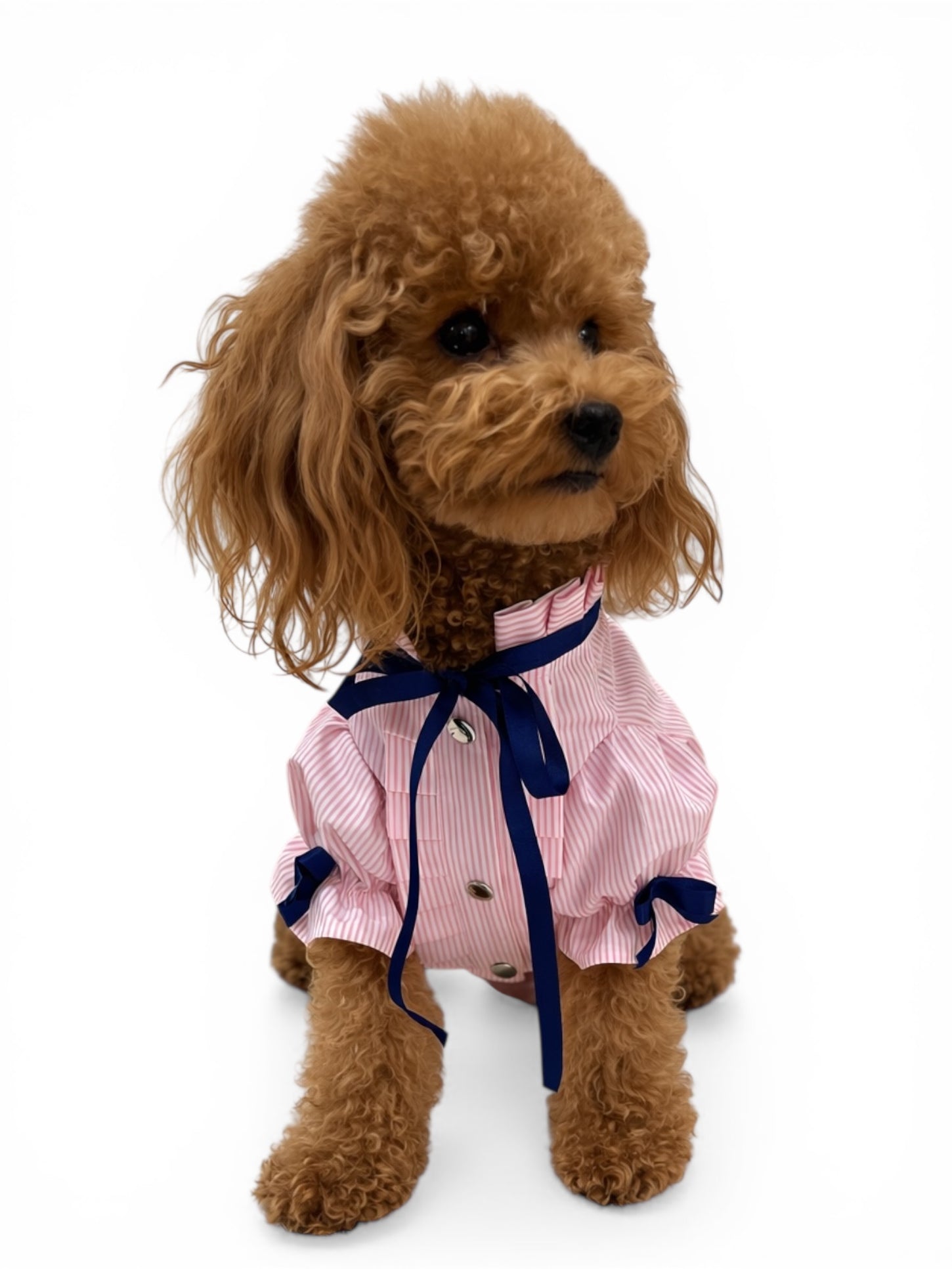 kopek-gomlek-loveindogs