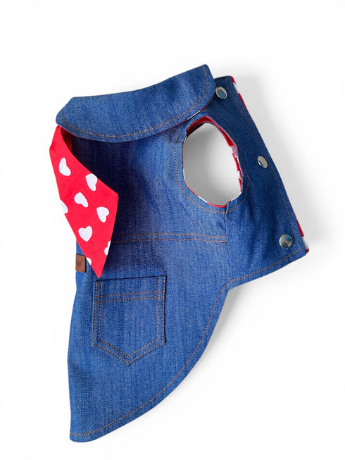 Denim Crush | Köpek Yeleği