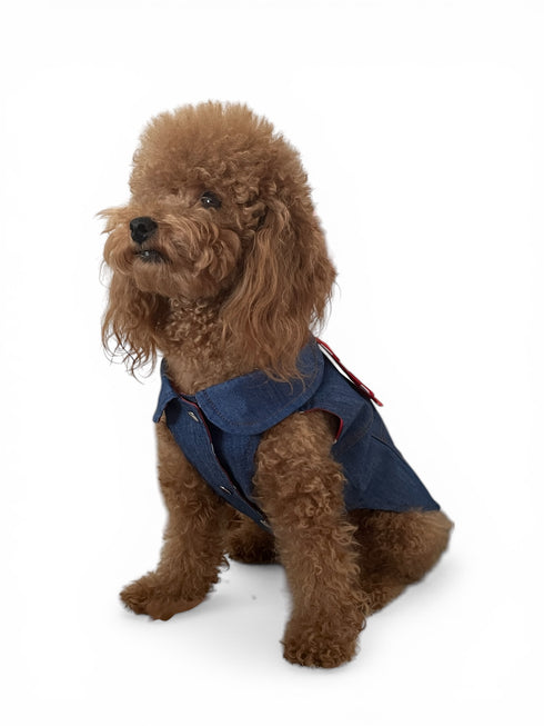 Denim Crush | Köpek Yeleği