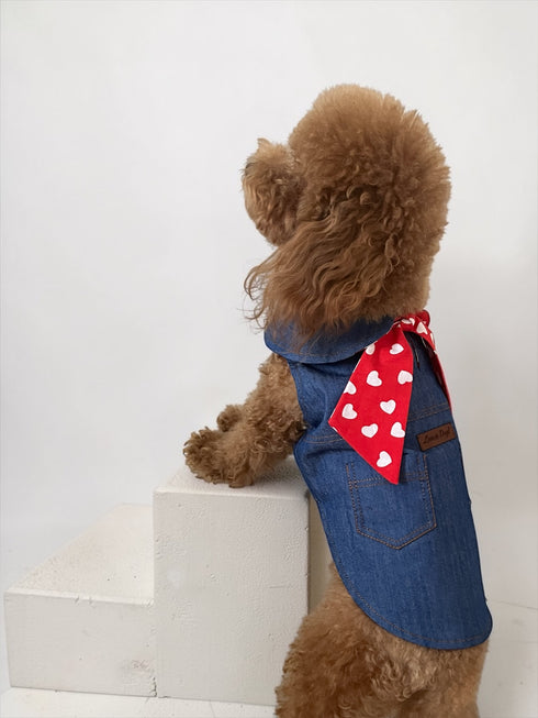 Denim Crush | Köpek Yeleği
