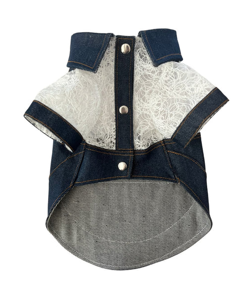 Denim Melody | Dantelli Köpek Ceketi