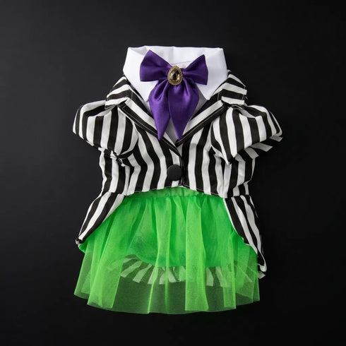 Magic Night – Dişi Model | Halloween Köpek Kostümü