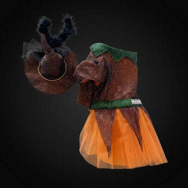 Pumpkin Party – Dişi Model | Halloween Köpek Kostümü
