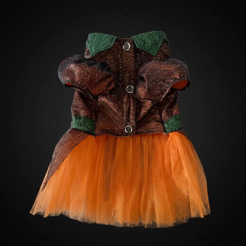 Pumpkin Party – Dişi Model | Halloween Köpek Kostümü